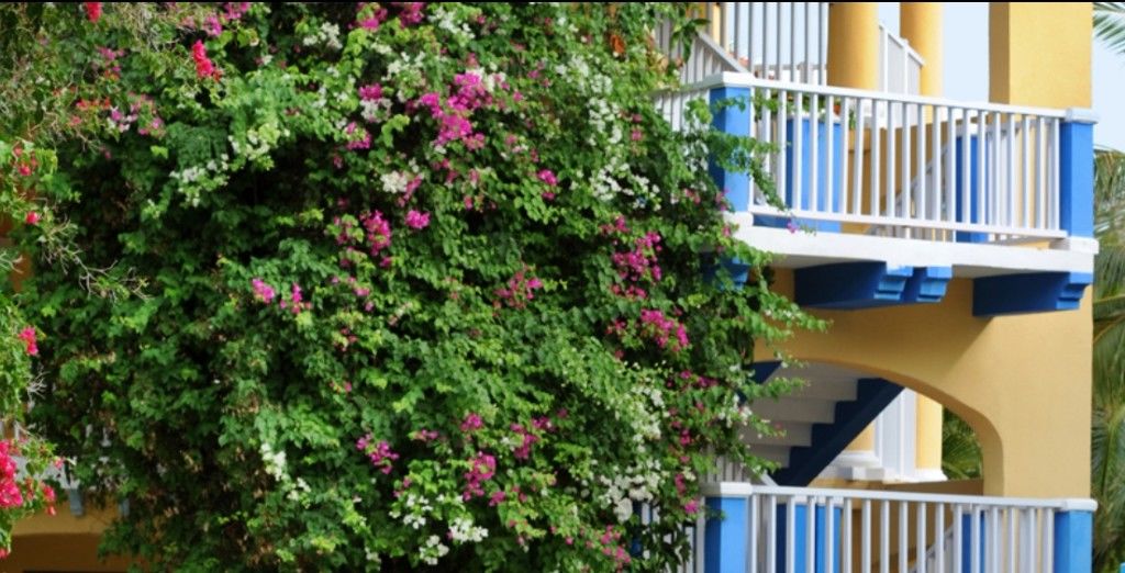 Iberostar Daiquiri Otel Cayo Guillermo Dış mekan fotoğraf