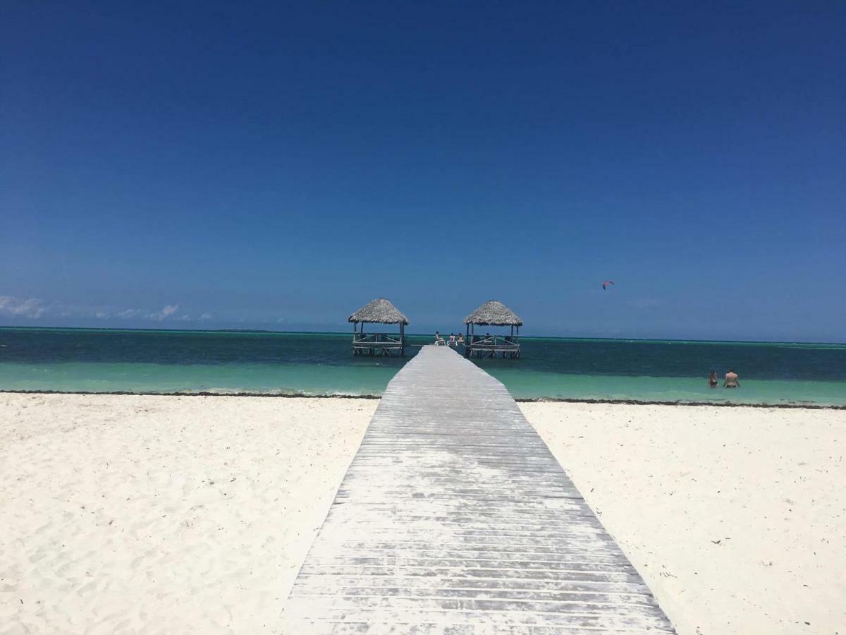 Iberostar Daiquiri Otel Cayo Guillermo Dış mekan fotoğraf